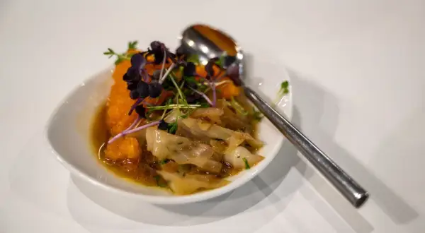 Ein köstliches Schmorkohl-Rezept: Gedünsteter Kohl mit karamellisierten Zwiebeln, serviert mit einem Klecks Kürbispüree und frischen Sprossen.