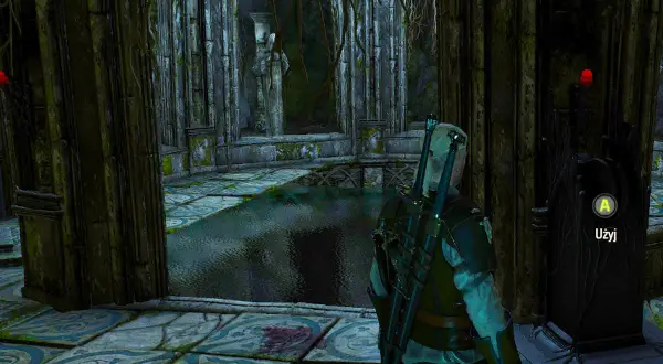 Geralt stoi przed tronem w zrujnowanej komnacie, rozwiązując zagadkę o dima. Woda zalewa podłogę, a roślinność oplata kamienne kolumny.