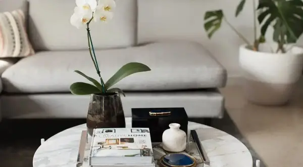 En vit orkidé, böcker och dekorativa föremål stylar soffbordet i en modern inredning.