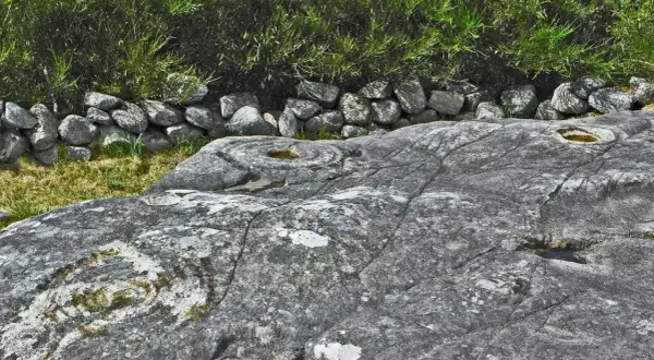 Petroglifos galicia: grabados circulares y espirales en roca gris, rodeados de hierba y un muro de piedra.
