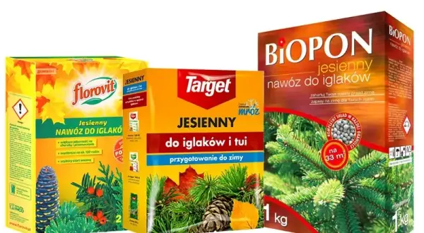 Kiedy nawóz pod tuje? Kluczowe terminy dla zdrowych roślin