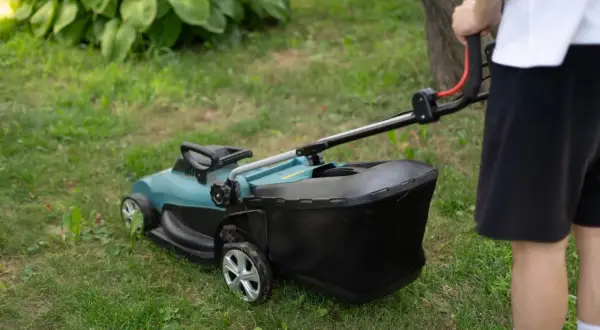 Jaką kosiarkę kupić? Przewodnik eksperta, by nie żałować!