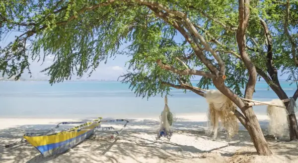 Łódź rybacka i sieci pod drzewem na plaży. Filipiny ciekawostki: takie widoki czekają na Ciebie!