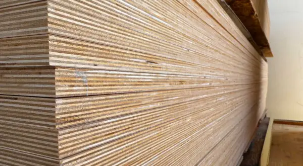 Una pila de maderas blancas, con sus finas capas visibles, listas para ser transformadas en muebles o estructuras.