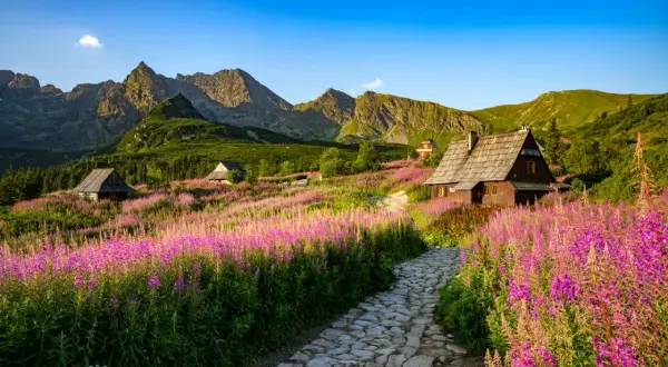 Ein Pfad führt durch blühende Wiesen zu Holzhäusern in den Hohen Tatra Polen. Majestätische Berge im Hintergrund.