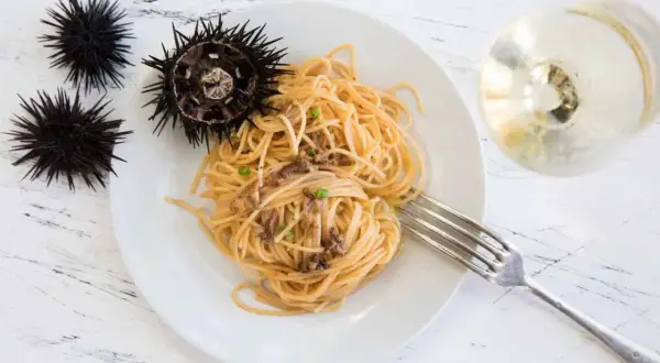 Seeigel-Spaghetti auf einem Teller, daneben rohe Seeigel. Man kann Seeigel essen und sie sind eine Delikatesse.