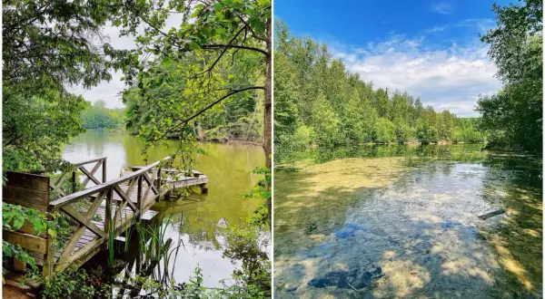 Holzsteg am Ufer der Grube Cox, umgeben von üppigem Grün. Das Wasser ist klar und spiegelt den blauen Himmel.