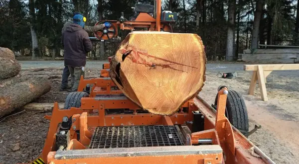 Pracownik w ochronnym stroju przygotowuje się do cięcia drewna na deski na mobilnej pile.
