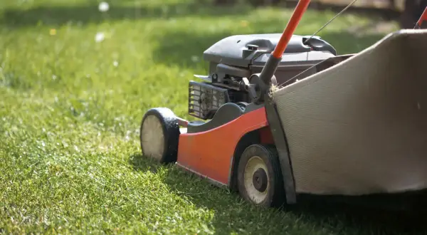Moc kosiarki spalinowej: Jak wybrać idealną dla Twojego ogrodu?