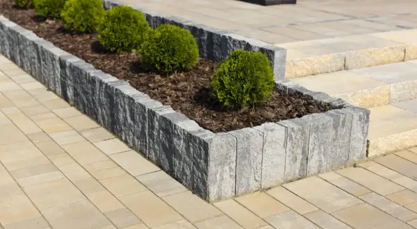 Starannie wykonane układanie palisady betonowej tworzy elegancką rabatę z bukszpanami na tle jasnej kostki brukowej.