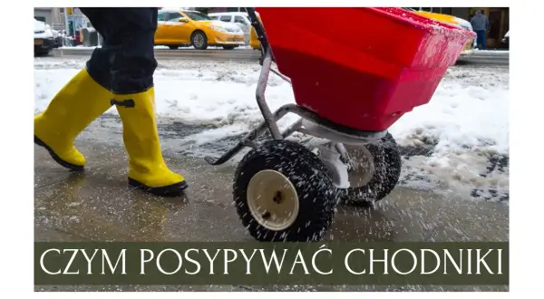 Co zamiast soli na chodnik? Ekologiczne alternatywy, które działają