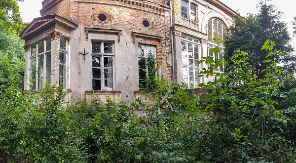 Zarośnięty dworek zakoniczyn z ceglanymi fragmentami i dużymi oknami, otoczony bujną zielenią.