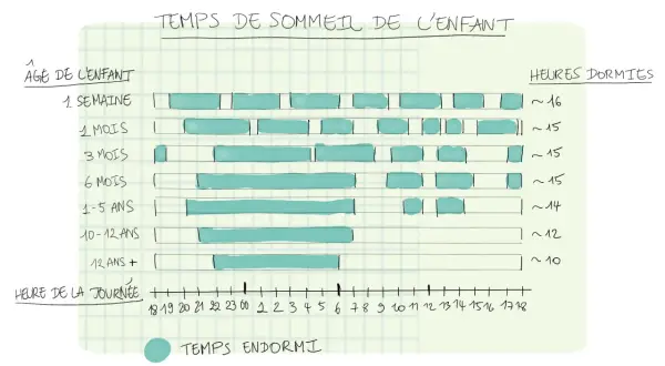 Diagrammet visar hur mycket ska en 3-åring sova, cirka 15 timmar. Sömnbehovet minskar med åldern.