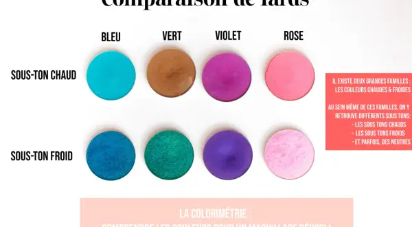 Comparaison de fards : bleu, vert, violet, rose. Deux rangées montrent des couleurs pour sous-ton chaud et sous-ton froid.