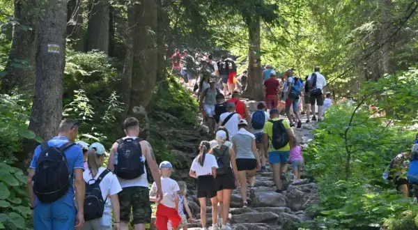 Tłum turystów wędruje kamienistym szlakiem przez las. Wszyscy mają plecaki, gotowi na zdobycie Trzech Koron. Czas wejścia na szczyt jest bliski.
