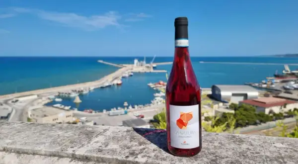 Bottiglia di Cerasuolo d'Abruzzo con etichetta "Canatura" su sfondo di un porto con mare blu e cielo limpido.