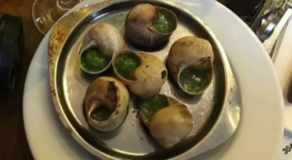 Sześć ślimaków w muszlach z zielonym sosem, gotowych do zjedzenia. Oto jak jesc ślimaki!