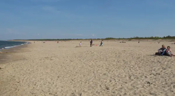 Szeroka, piaszczysta plaża Stogi z kilkoma osobami spacerującymi i odpoczywającymi. W tle widać morze i las.
