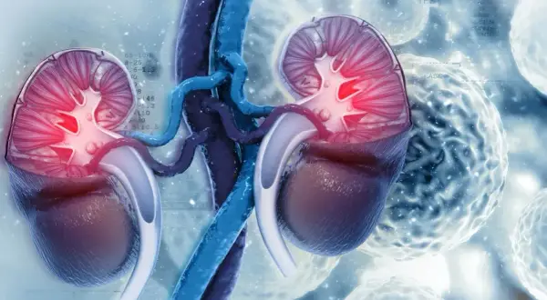 Anatomia nerki z podwyższonym GFR, sugerująca problemy z filtracją.