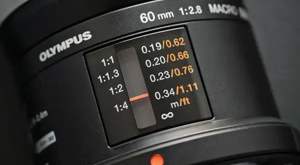 Obiektyw makro co to? Poznaj jego zalety i zastosowania w fotografii