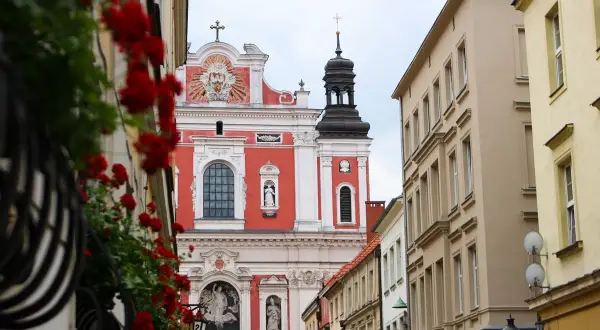 Czerwone kwiaty na balkonie, w tle barokowa fara w Poznaniu.