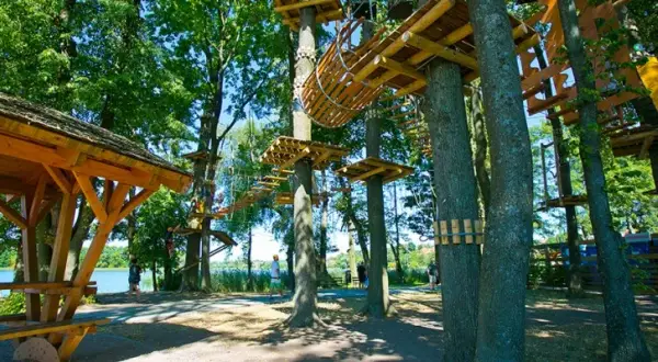 Park Linowy Ełk: Trasy, ceny, godziny otwarcia planuj z nami!