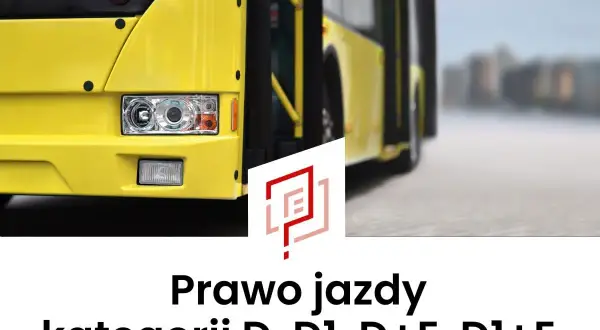 Żółty autobus i napis "Prawo jazdy kategorii D, D1, D+E, D1+E".