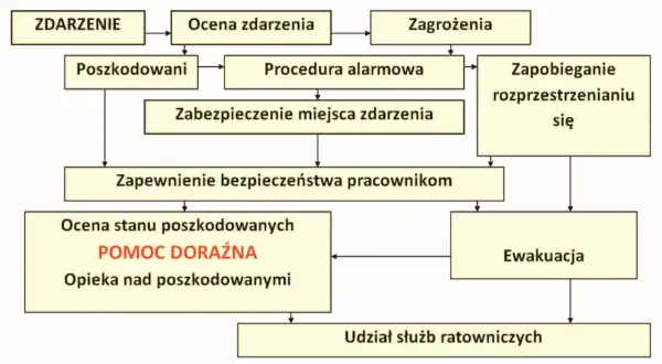 Kto może udzielić pierwszej pomocy? Twój obowiązek i ochrona prawna