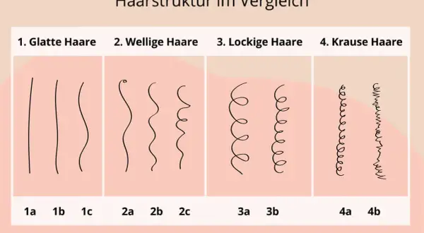 Vergleich von Haartypen: glatt, wellig, lockig und kraus. Hilft, den eigenen haartyp bestimmen.