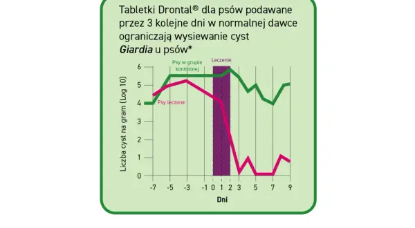 Wykres porównujący liczbę cyst Giardia u psów leczonych i kontrolnych. Leczenie Drontalem znacząco ogranicza wysiew cyst.