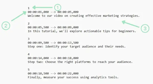 An SRT file displays timed text for videos. This example shows timestamps and dialogue for a marketing tutorial, covering audience identification, platform selection, and success measurement.