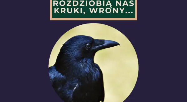 Czarny kruk patrzy w bok, a nad nim napis: "Rozdziobią nas kruki, wrony...".