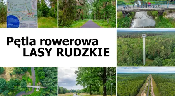 Pętla rowerowa Lasy Rudzkie zaprasza na malownicze trasy przez zielone lasy. Zdjęcia ukazują ścieżki, mosty i wieżę widokową.