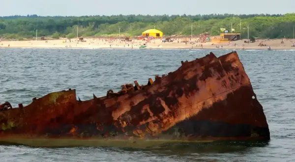 Zardzewiała rufa statku wystaje z wody na tle plaży pełnej ludzi i zielonego lasu.