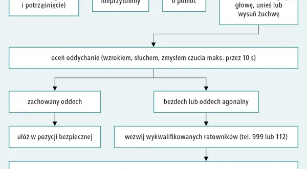 BLS: Ratuj życie! Algorytm, prawo i kursy pełny przewodnik