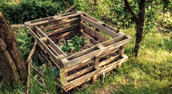 Ekologiczne grządki z palet w ogrodzie. Kompostownik z drewna, otoczony zielenią i drzewami, tworzy naturalne środowisko.