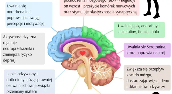 Jak aktywność fizyczna wpływa na zdrowie psychiczne: korzyści i naukowe dowody
