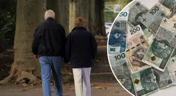 Należę do ofe czy dostanę dwie emerytury? Sprawdź, co musisz wiedzieć