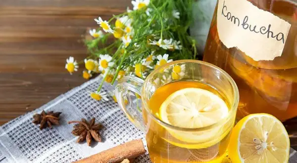 Czy kombucha jest zdrowa? Poznaj korzyści i zagrożenia dla zdrowia