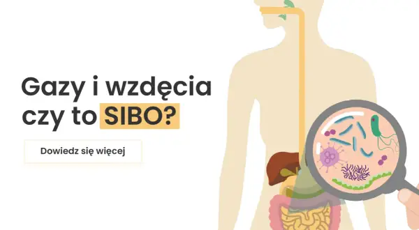 Gazy i wzdęcia mogą być objawem SIBO. Ilustracja przedstawia układ pokarmowy i powiększone bakterie.