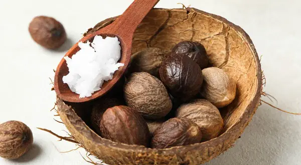Noci di karité in una ciotola di cocco, con un cucchiaio di burro bianco. Il burro di karité serve per nutrire e idratare la pelle.