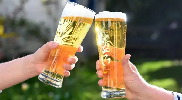 Zwei Gläser Bier stoßen an. Der Unterschied zwischen Bier und Pils ist hier nicht ersichtlich, aber die goldene Farbe und der Schaum sind ein Genuss.