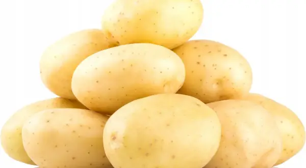 Stos świeżych ziemniaków Colombo, idealnych na frytki lub purée.