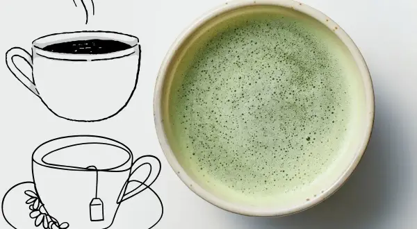 Czy matcha to kawa? Obok rysunków filiżanek z herbatą i kawą, znajduje się miseczka z zielonym, spienionym napojem.