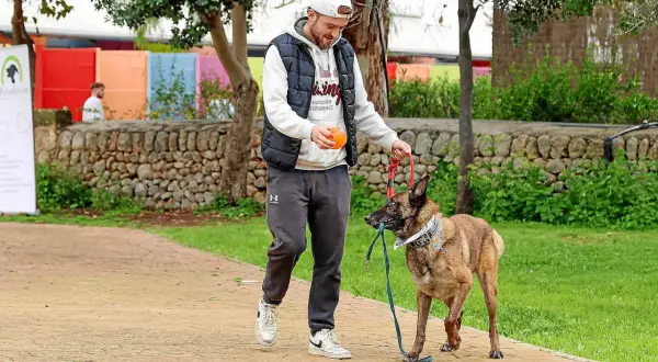 Mann mit Hund im Park. Der Hund hält die Leine im Maul, bereit für ein Spiel. Ein schöner Tag für ca. de bestiar.