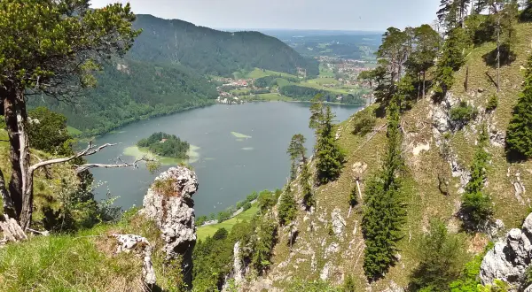 Blick vom Berg auf den Schliersee mit Insel. Der Schliersee Rundweg bietet solche Aussichten.