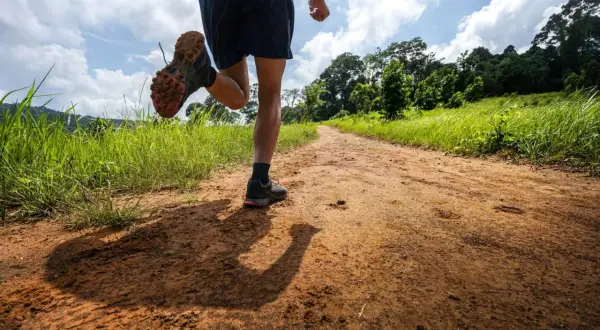 Un coureur sur un sentier de terre, profitant d'un entraînement de renforcement musculaire trail dans un paysage verdoyant.