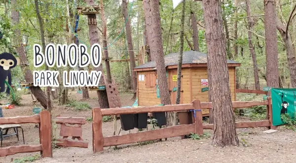 Park Linowy Bonobo Hel: Trasy, cennik i opinie przewodnik
