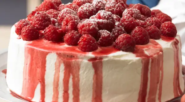 Himbeer Joghurt Torte, üppig belegt mit frischen Himbeeren und Puderzucker, mit roten Himbeersaucen-Tropfen.