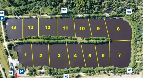 Widok z lotu ptaka na łowisko Borowy Staw. Stawy podzielone na sektory z numeracją od 1 do 14. Widać parking (P) i toalety (WC).
